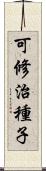 可修治種子 Scroll