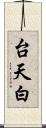 台天白 Scroll