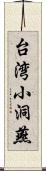 台湾小洞燕 Scroll