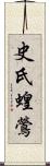 史氏蝗鶯 Scroll