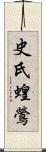 史氏蝗鶯 Scroll