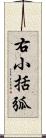 右小括弧 Scroll