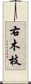 右木枝 Scroll