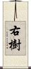 右樹 Scroll