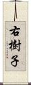 右樹子 Scroll