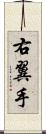 右翼手 Scroll