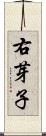 右芽子 Scroll