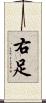 右足 Scroll