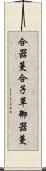 合器蔓 Scroll