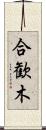 合歓木 Scroll