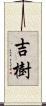 吉樹 Scroll