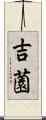 吉薗 Scroll