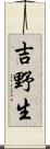 吉野生 Scroll