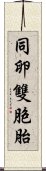 同卵雙胞胎 Scroll