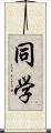 同学 Scroll