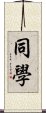 同學 Scroll