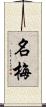名梅 Scroll