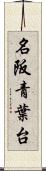名阪青葉台 Scroll