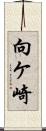 向ケ崎 Scroll