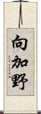 向加野 Scroll