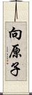 向原子 Scroll