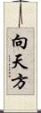 向天方 Scroll