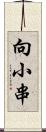 向小串 Scroll