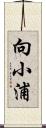 向小浦 Scroll