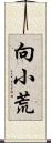 向小荒 Scroll