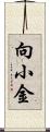 向小金 Scroll