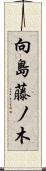 向島藤ノ木 Scroll
