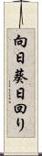 向日葵 Scroll