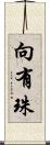 向有珠 Scroll