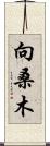 向桑木 Scroll