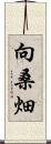 向桑畑 Scroll