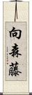 向森藤 Scroll