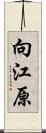 向江原 Scroll