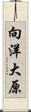 向洋大原 Scroll