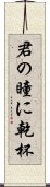 君の瞳に乾杯 Scroll