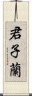 君子蘭 Scroll