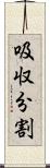 吸収分割 Scroll