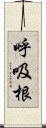 呼吸根 Scroll