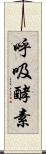 呼吸酵素 Scroll