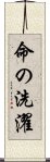 命の洗濯 Scroll