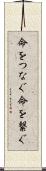 命をつなぐ Scroll