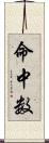 命中数 Scroll