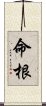 命根 Scroll