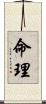 命理 Scroll