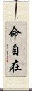命自在 Scroll