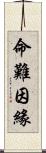 命難因緣 Scroll